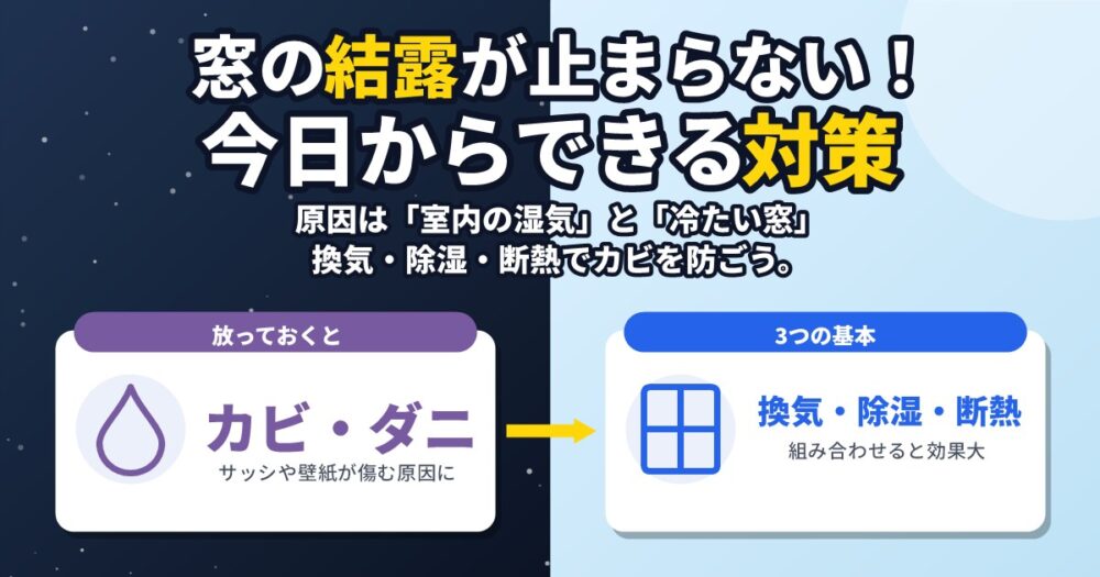 窓の結露の原因と今日からできる対策